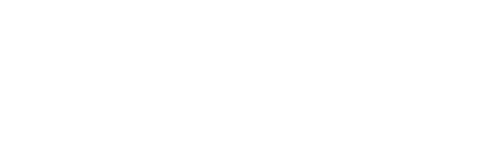 logo-insijets